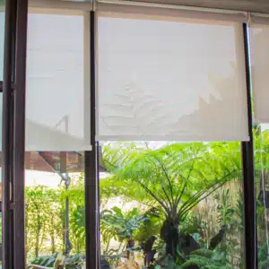 Roller or Solar Shades blocking natural light from green garden in Tampa