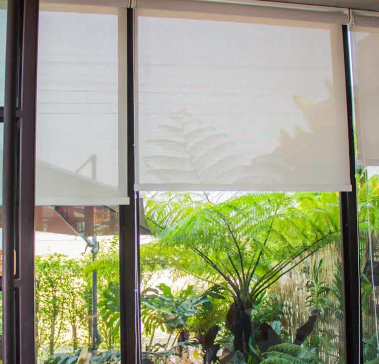 Roller or Solar Shades blocking natural light from green garden in Tampa