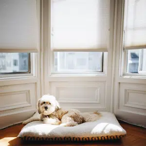 Happy dog laying in front of windows with custom cellular shades